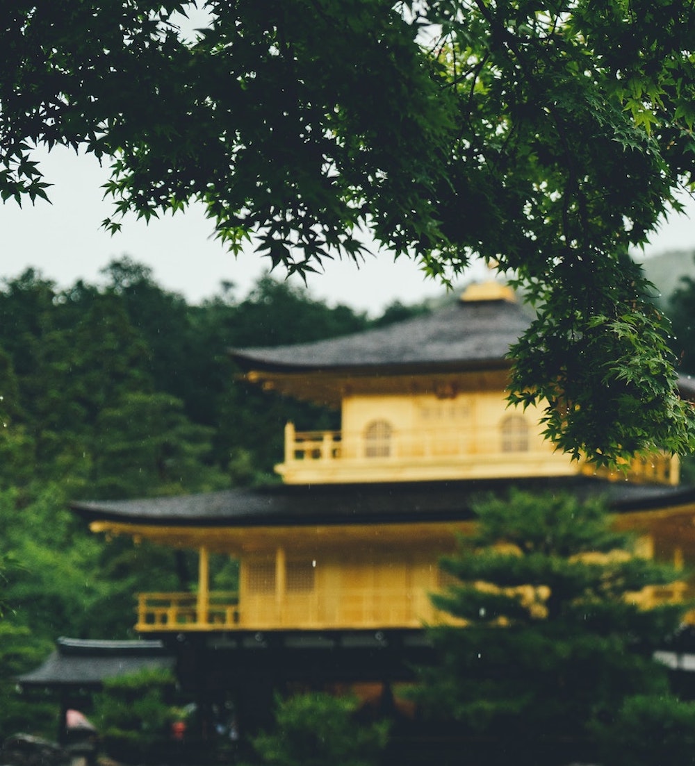 KŌKI - DIFFUSER | CHRYSANTHEMUM, AROMATIC OOLONG, YUZU